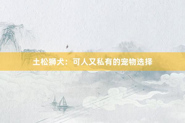 土松狮犬：可人又私有的宠物选择